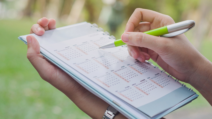 calendar diary year