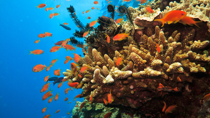 infrastructure spending rail roads federal budget investment property values queensland barrier reef
