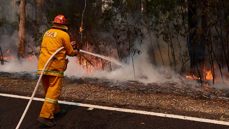 A CFA Member works on controlled back burns along Putty Road on November 14, 2019 in Sydney, Australia. Crews are working hard to gain the upper hand after devastating fires tore through areas near Colo Heights. Bushfires from the Gospers Mountain bushfir