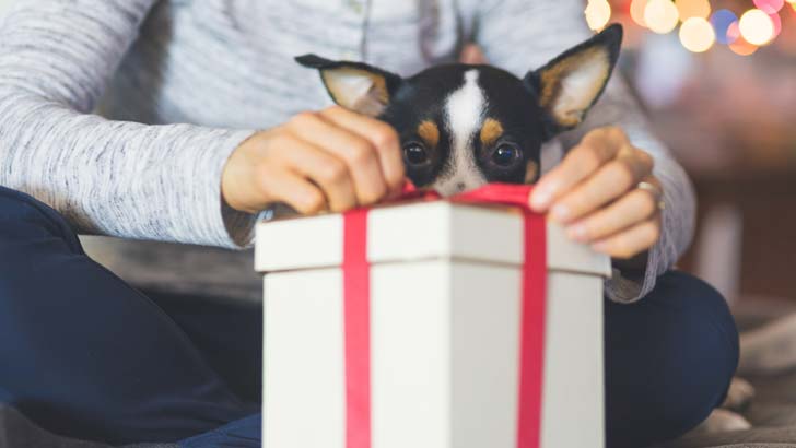 christmas-presents-budget.jpg