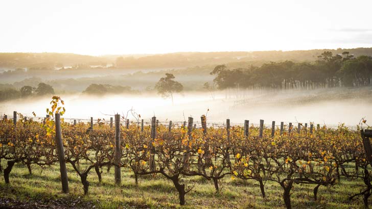 west australian wine country