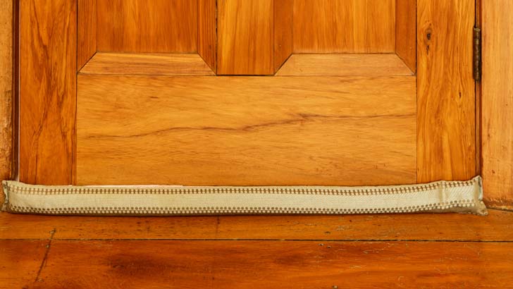 preparing your house for winter door snake