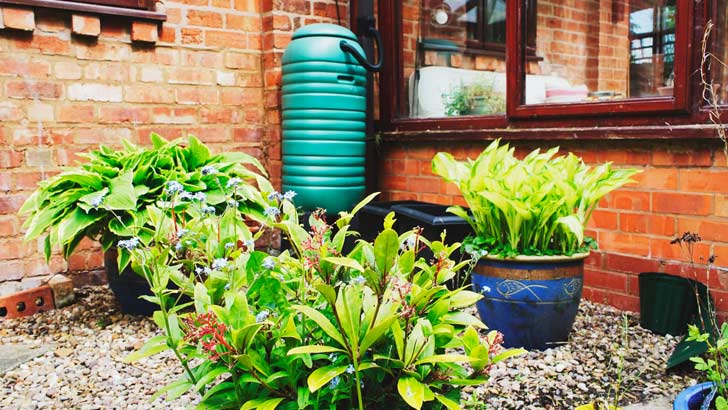 house of the future rainwater tanks