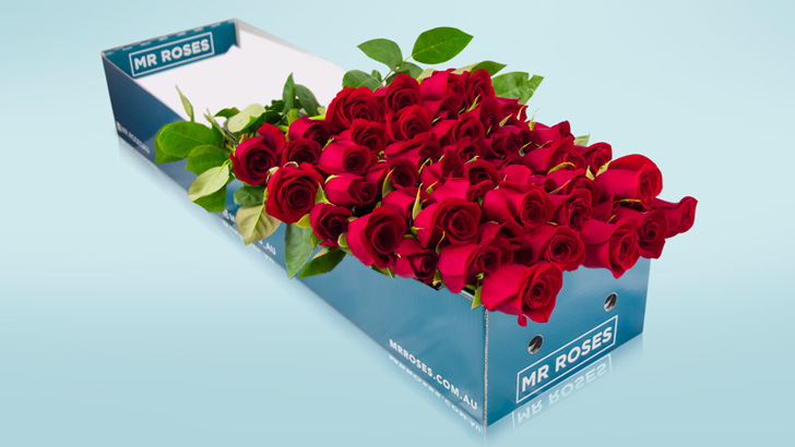 Win 12 long-stemmed roses from Mr Roses for your beloved this Valentine ...