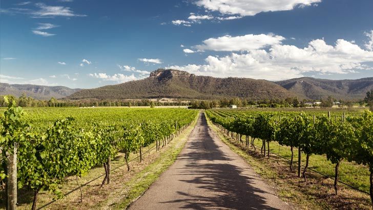 hunter valley real estate hot spots where to buy property