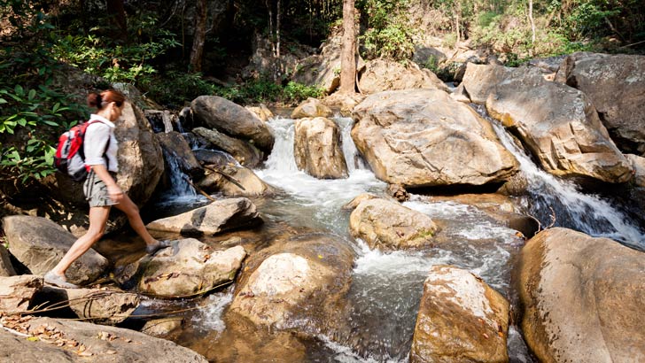 domestic travel australia tourism stocks investing