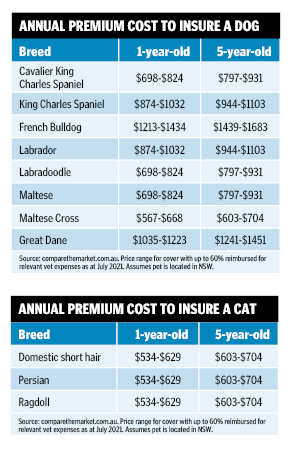 pet insurance costs table