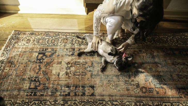 renovate home on a budget redecorate with rugs