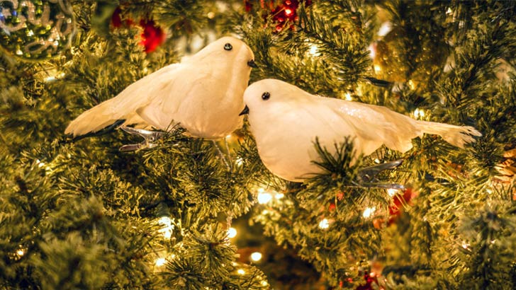 12 days of christmas index