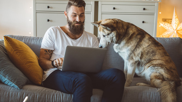 the benefits of having a pet