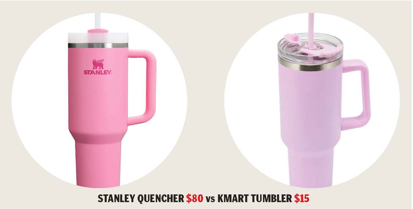 stanely cup v kmart tumbler dupe