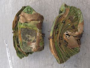 banknotes destroyed in bushfire